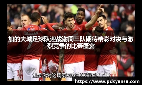 31399金沙娱场城在官网